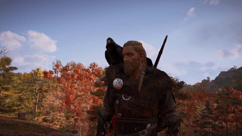 Si nos quedamos quietos, el cuervo se posara en nuestro hombro