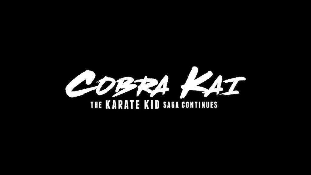 Cobra Kai: The Karate Kid Saga Continues –&nbsp;Reseña